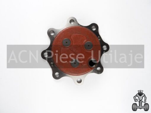 Kit butuc punte Carraro 150192 (1)